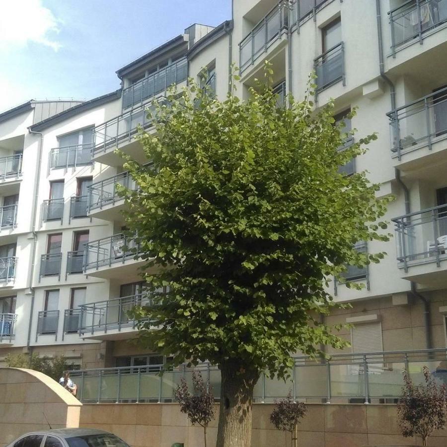 Apartament Flauta, Villa Marea Miedzyzdroje Exterior foto